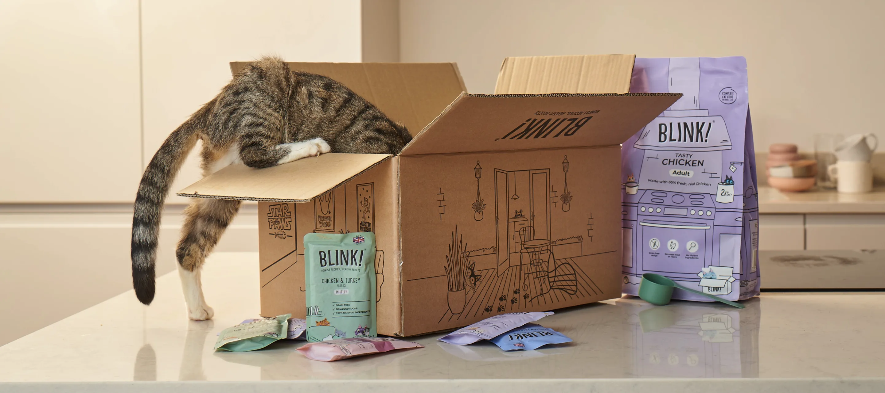 blink-cat-food-subscription